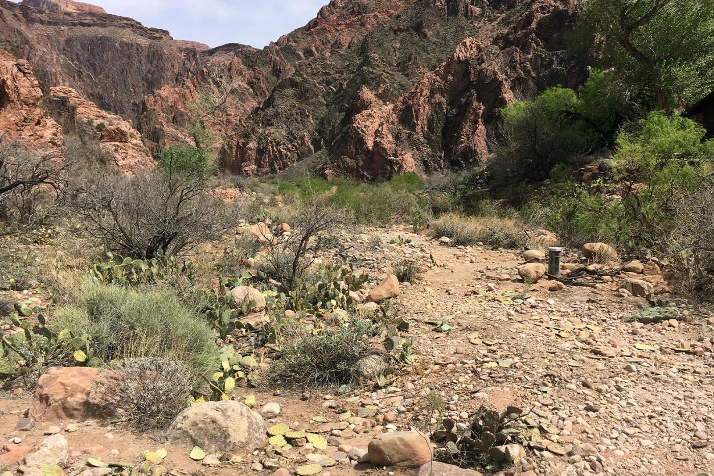 Grand Canyon Monitoring Wells